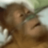 ded