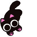 cat_spin