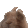 1067486450263785592