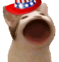 AMPopcatAmerican