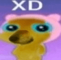 xd