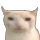 m_bruhcat