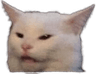 catswhatshesaid