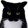 emoji_350