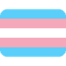 trans_flag
