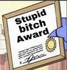 stupidbitchaward
