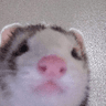 emoji_433
