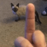 6665236380773253221