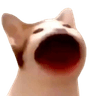 popcat