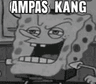 ampas