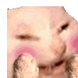 catomg