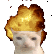 9863696905049416181