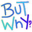 butwhy