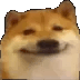CC_dog_smirk