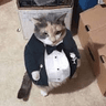 cattux