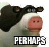 perhaps