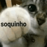 soquinho