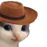 meowdy