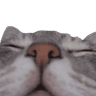 soeepy