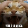 emoji_60