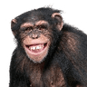 emoji_20