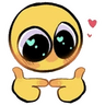 shy