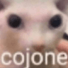 cojone