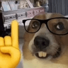 perronerd