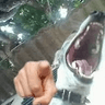 perrorisa