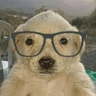 perronerd2