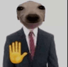 razystop