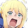 noosaber