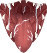 maw