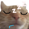 l_sleep