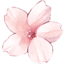 a_flower