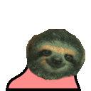 slothdance
