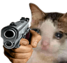 sadcatgun