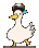 duck