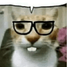 gatonerd