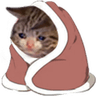 sadcatblanket92