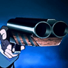 gun