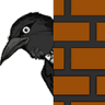 CrowWatching