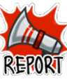 Report19