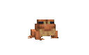 frog_flip