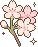 aesthetic_flowers