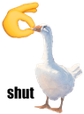 FW_goose