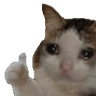 emoji_131