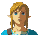 Link_Surprised