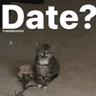 date