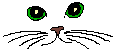 a_cateyes